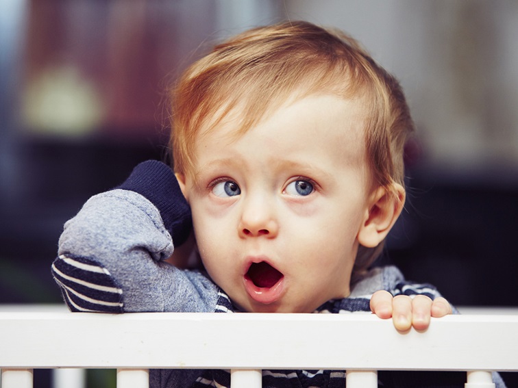 Една забавна история от млад автор от Северозапада позната на всяка детска градина