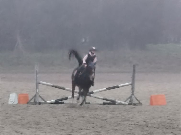 Клуб по конен спорт, създаден и финансиран от ентусиасти печели множество златни медали в прослава на Добрич и Община Добричка