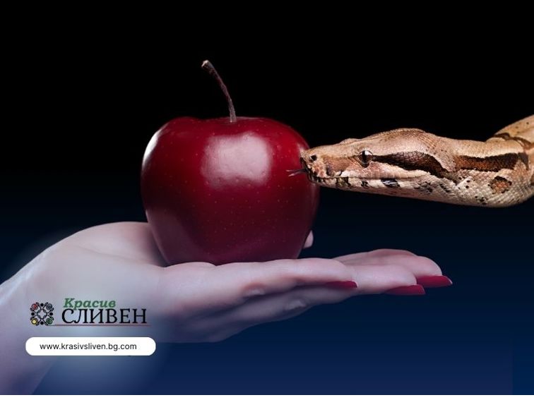 1657c856-9a00-4180-b83c-2580523f6385-1 Изкушението на народа