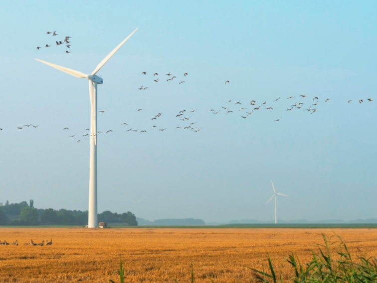 Вълчи дол се вдига на протест против перките!