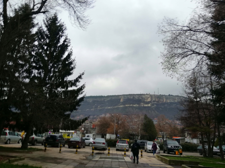 48c31b13-2b72-4e52-81c4-cb8bb1334231-1 Доброволческа акция в Провадия