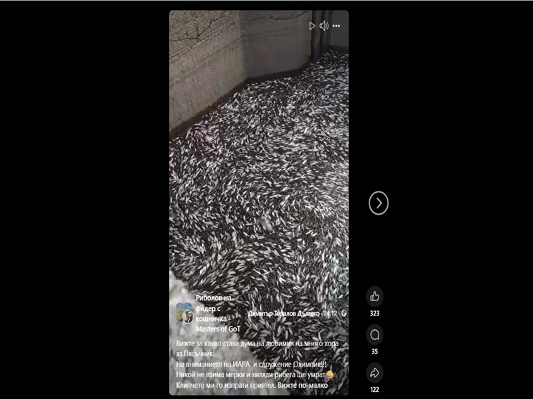 Огромно количество умряла риба в язовир „Пясъчник“. Няма публична информация за мерки