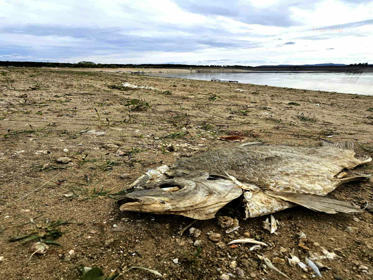 Язовир Копринка - Долината на смъртта ?!!