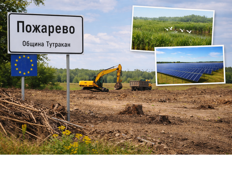 ad8165b1-b69c-4c4f-bd43-958a4db19d92 Сигнал от Пожарево: унищожена защитена местност заради подготвян фотоволтаичен парк?