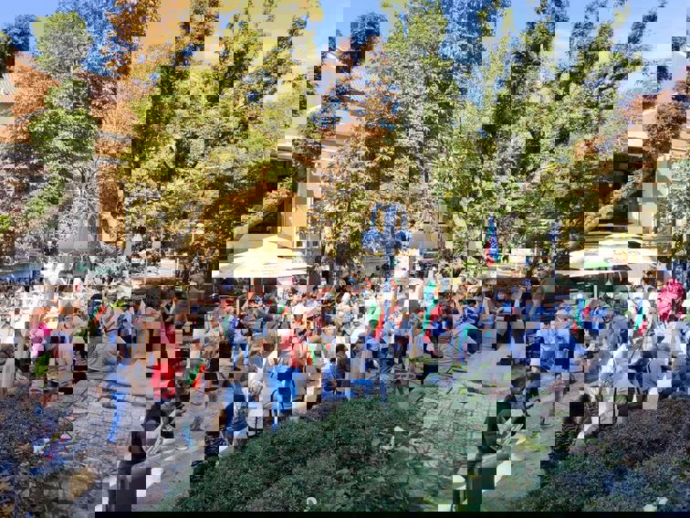 e6d8f006-c04a-4c44-9c15-9f53ee8bf496