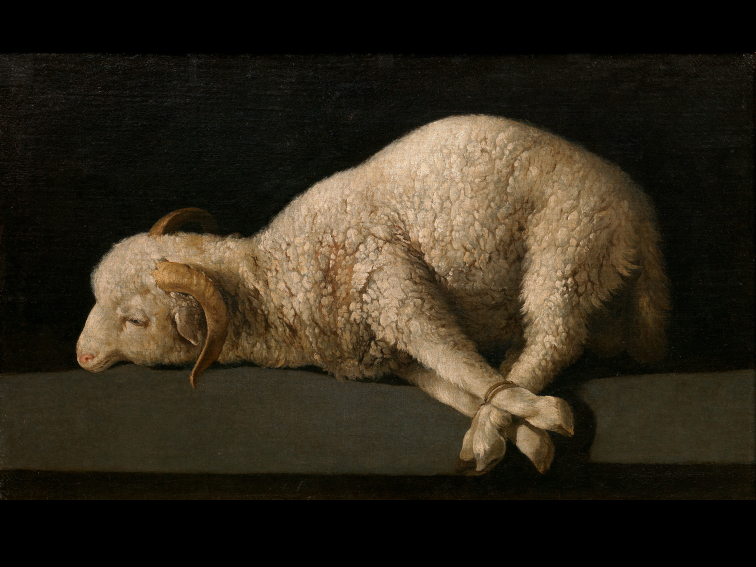 Граждани в организация за честни избори