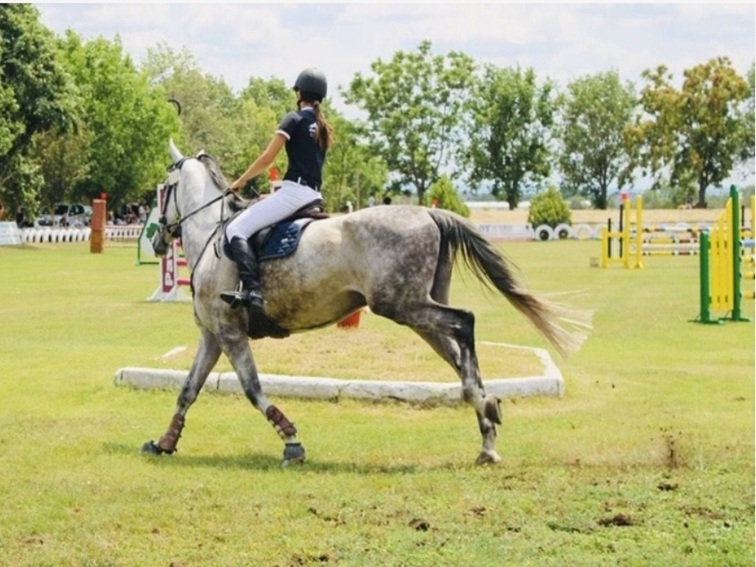 Силен турнир по конен спорт се проведе в Кнежа