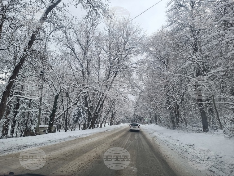 4bb61839-b7c3-443c-bace-371cc28e5db6-3 Зимна обстановка в Плевен: 56 машини чистят пътищата, села останаха без ток