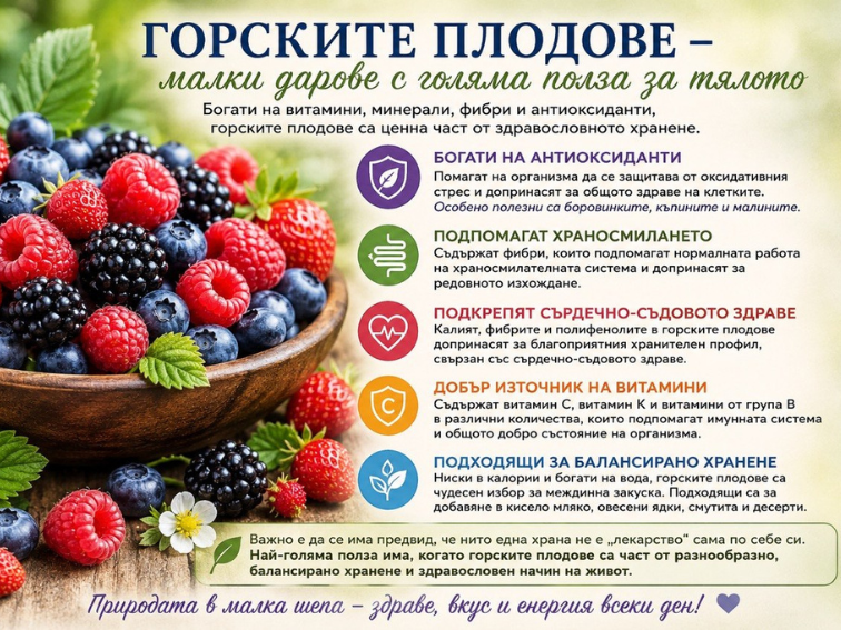 624f25b0-0014-48d9-a238-bf1019886b70-1