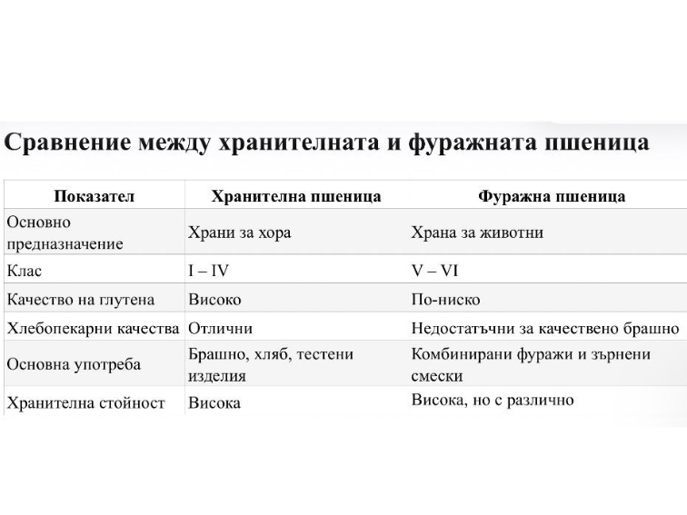 ca365cc2-f0bf-4979-80d8-123170d83519 Фуражна или хранителна пшеница –хлебарите носят отговорност за избора