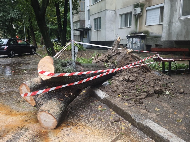 Силен вятър причини щети и множество сигнали в Плевенско